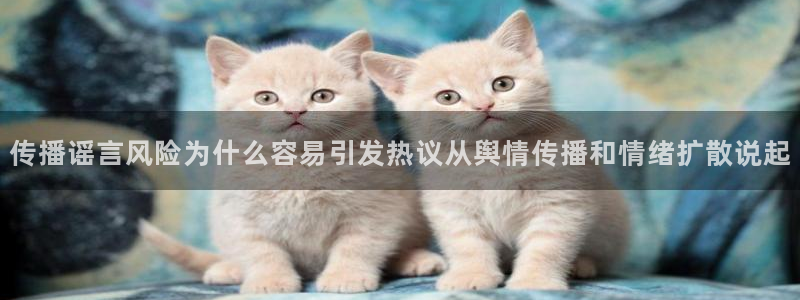 网络话题大全