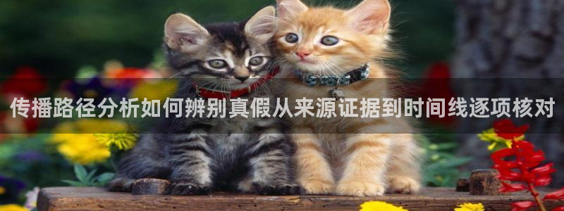 热门资讯排行
