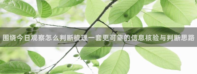 黑料爆料最新动态